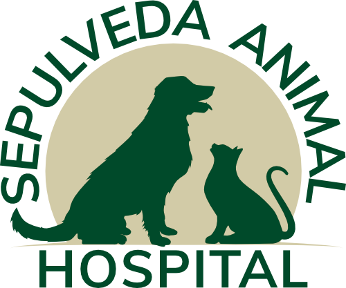 Sepulveda Animal Hospital Home